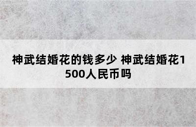 神武结婚花的钱多少 神武结婚花1500人民币吗